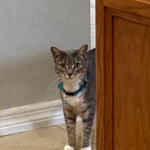 Meet your Posher, Ariana